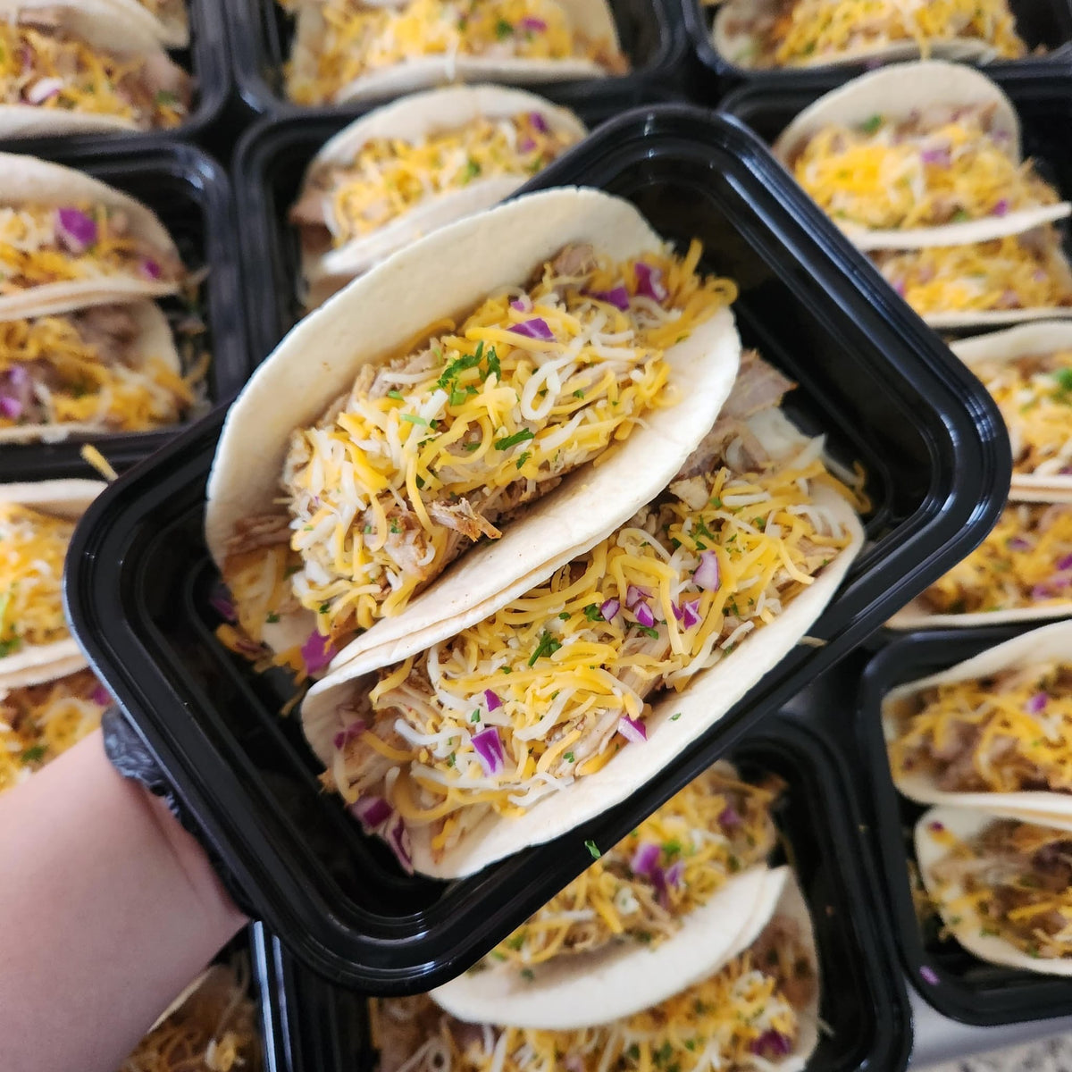 Taco Suave de pernil con queso y ensalada verde